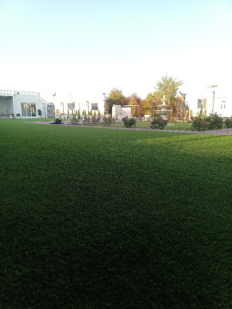 صيانه للحدايق - 3