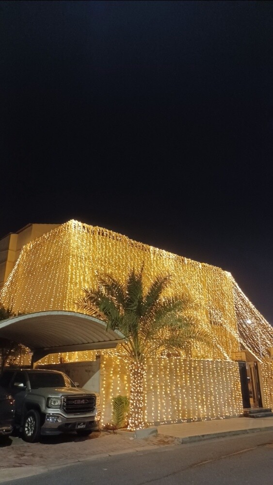 wedding lights - 13