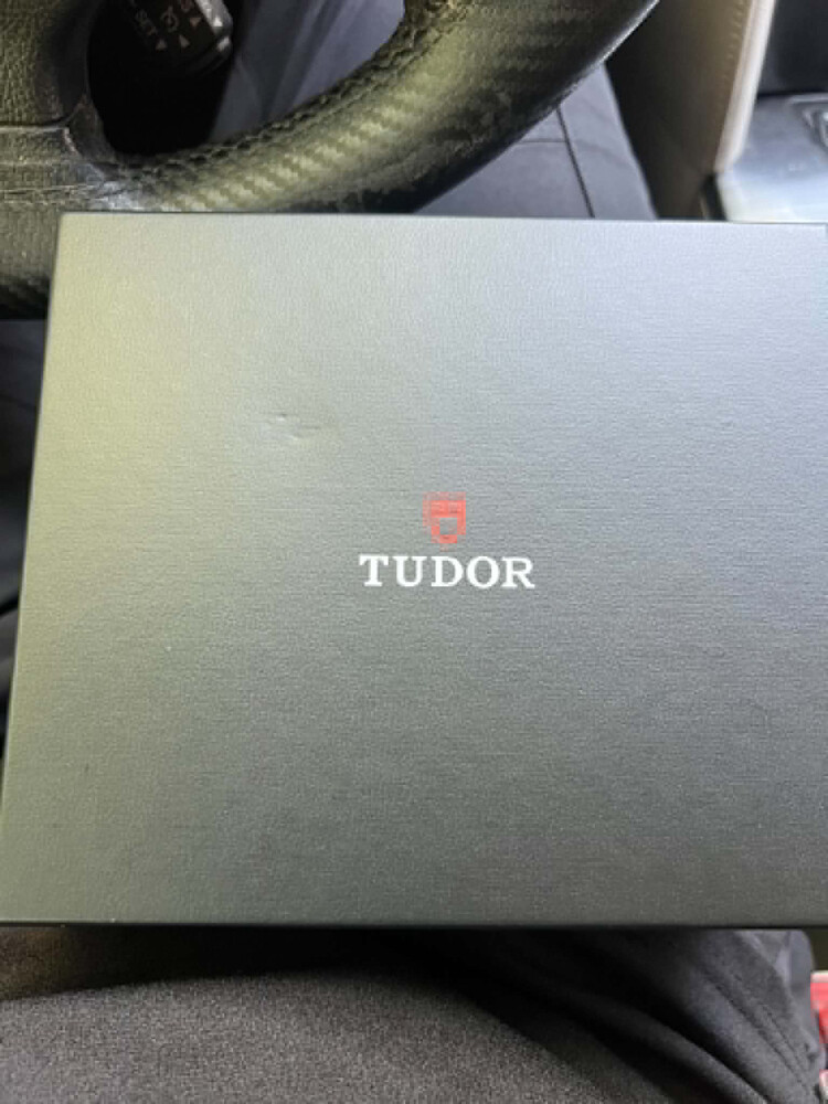 Tudor Black Bay Pro - 2