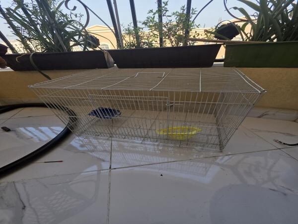 Bird cage and accessories - 2
