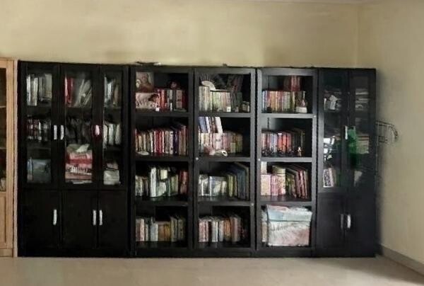 BOOK SHELVES 6 PIECE SET - 2