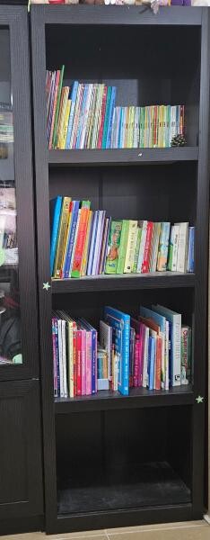 BOOK SHELVES 6 PIECE SET - 5