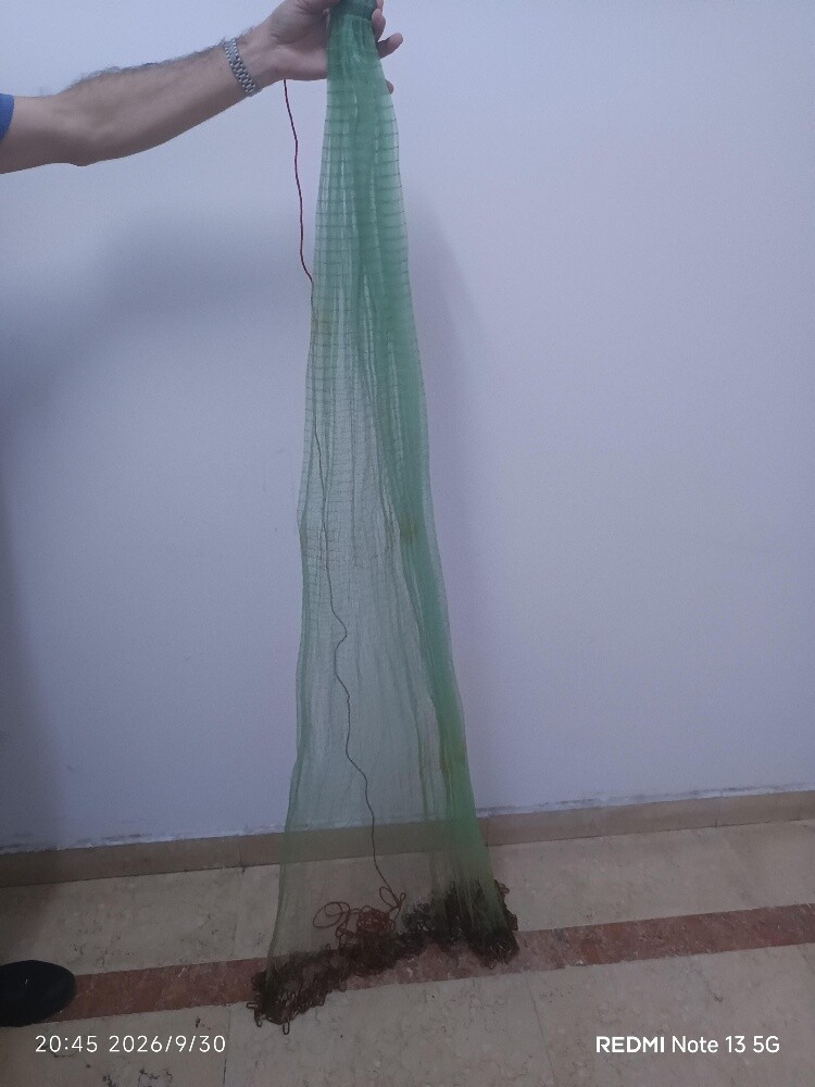 شبكة سالية - 3