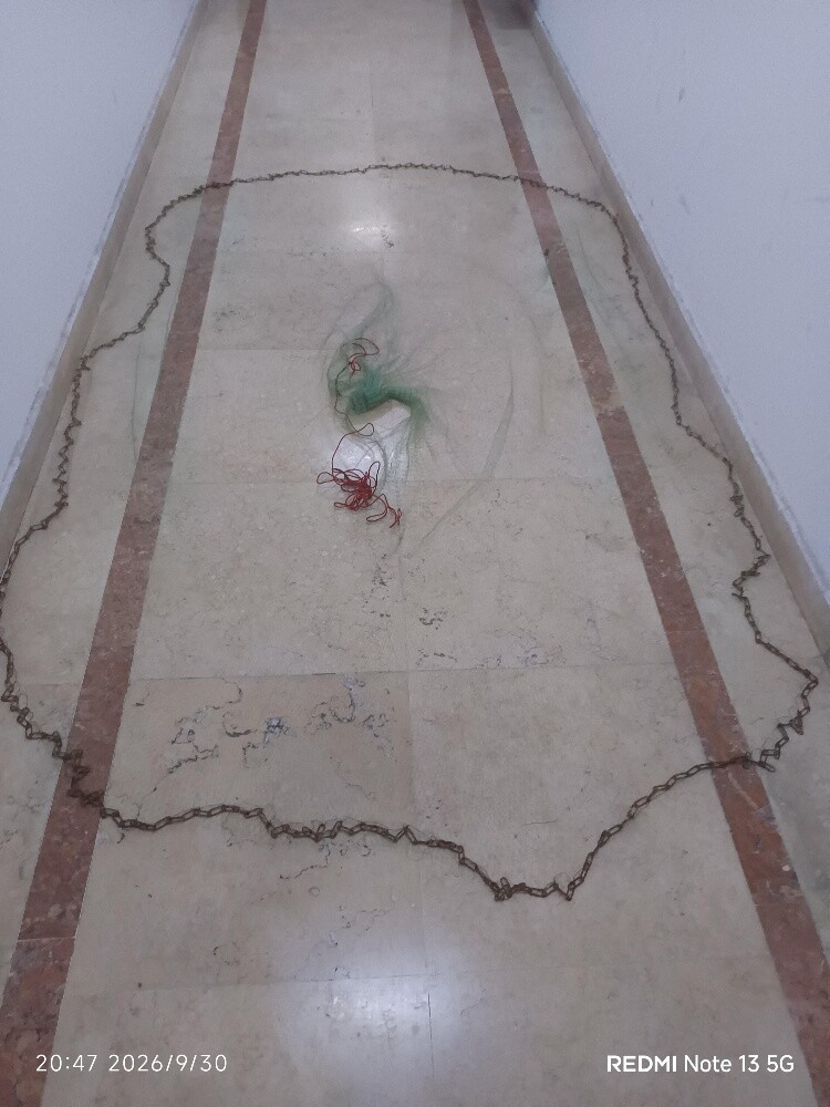 شبكة سالية - 2