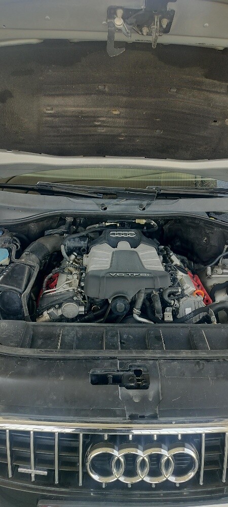Asad - 8