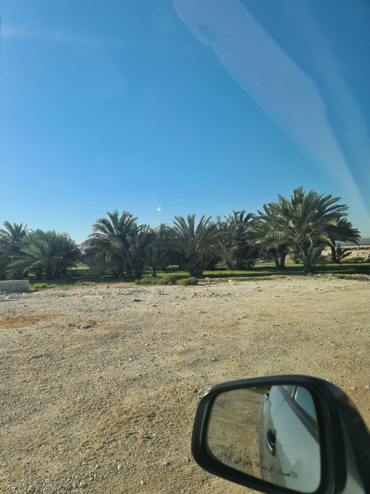 للبيع مزرعه بأم عبيريه 150 الف م - 4