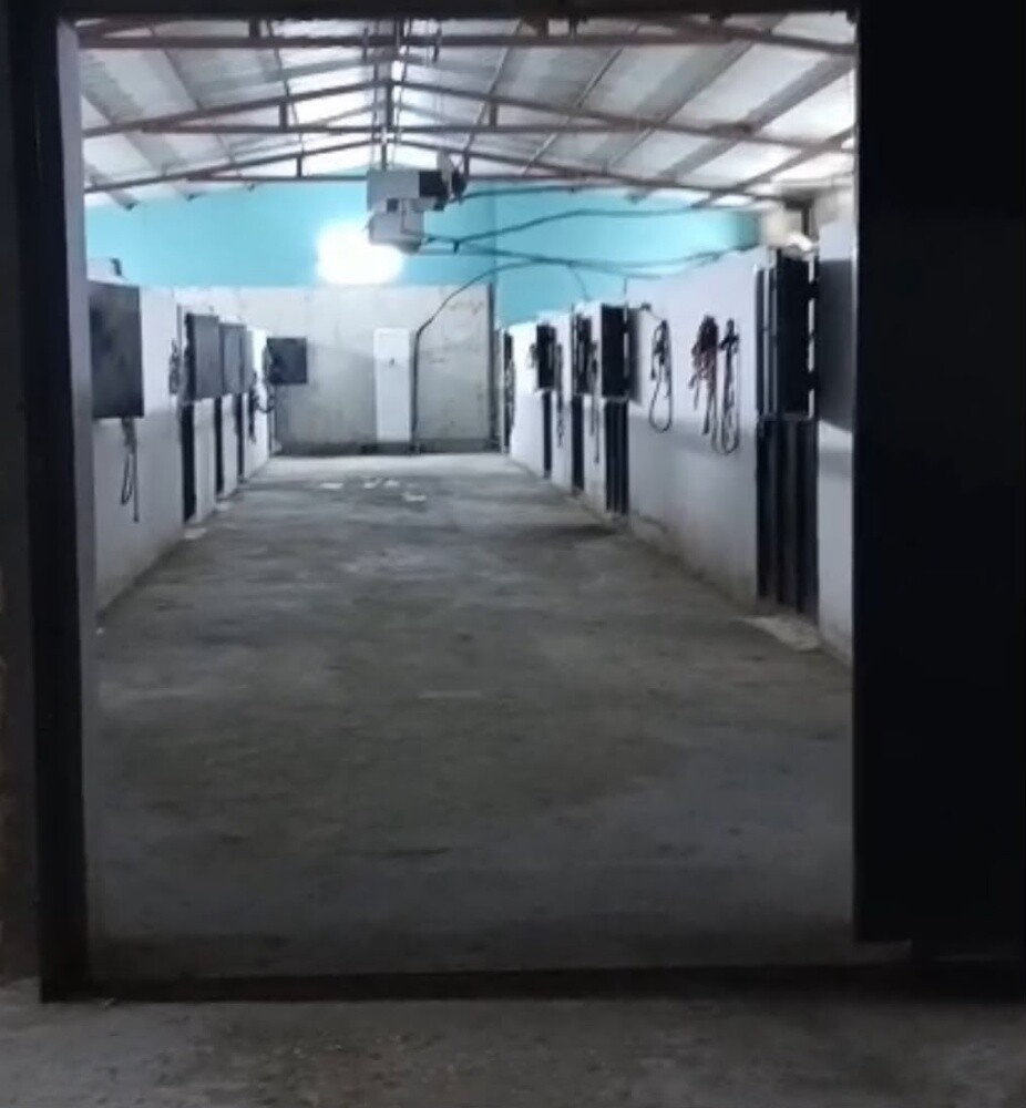 ايواء خيل في مزرعة الشحانية - 3