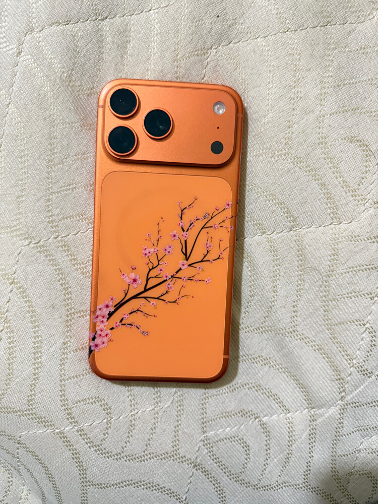 iPhone 17 pro max - 5