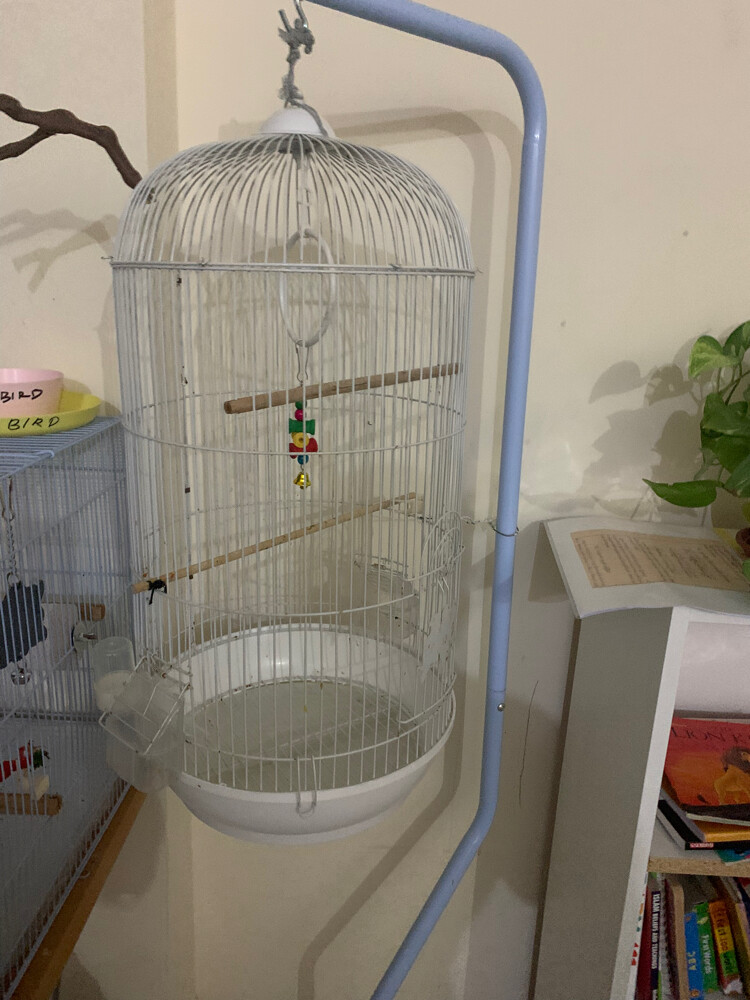 cocktail with cage  - 3