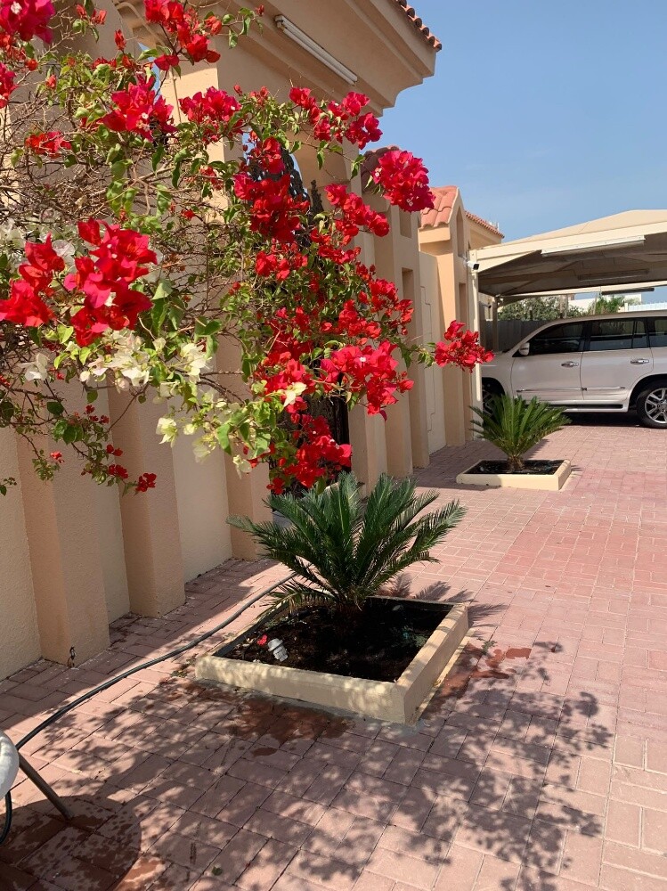 رفیق البلوشی - 1