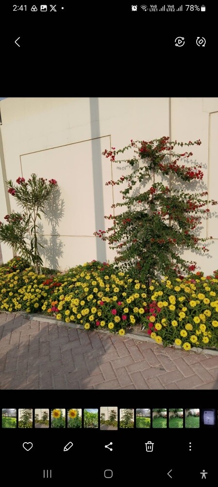 رفیق البلوشی - 2