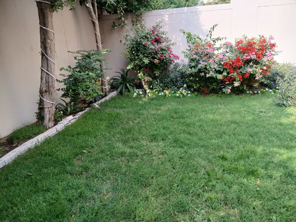 رفیق البلوشی - 10