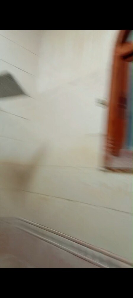 Guri dhaqameed oo kiro ah oo ku yaa - 19