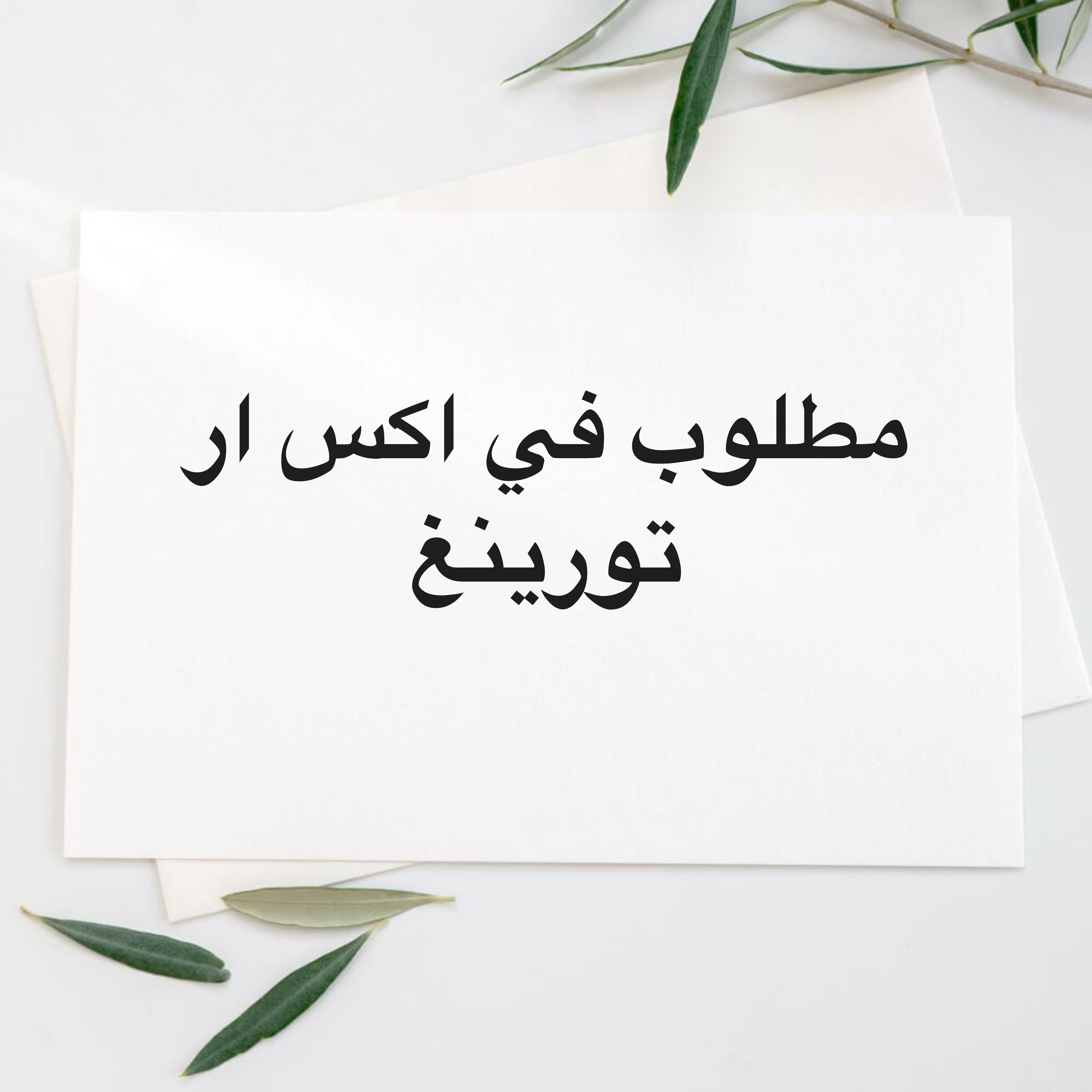 مطلوب شراء في اكس ار تورينغ - 1