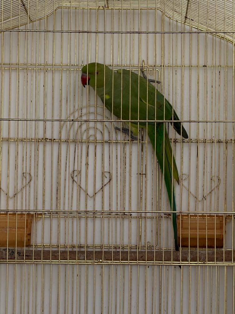 sale  - 3