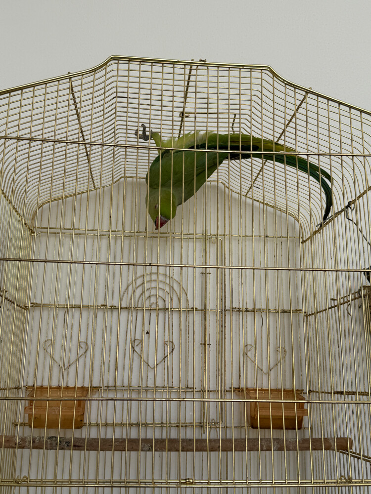 sale  - 6