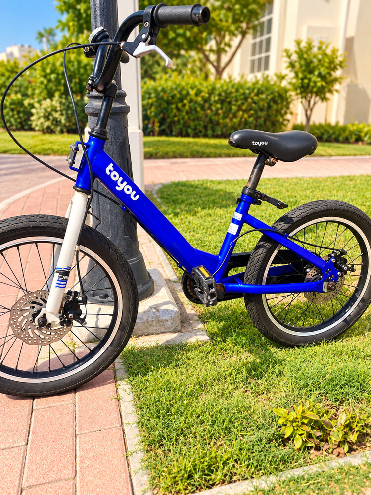 Toyou kids bicycle for sale - 2