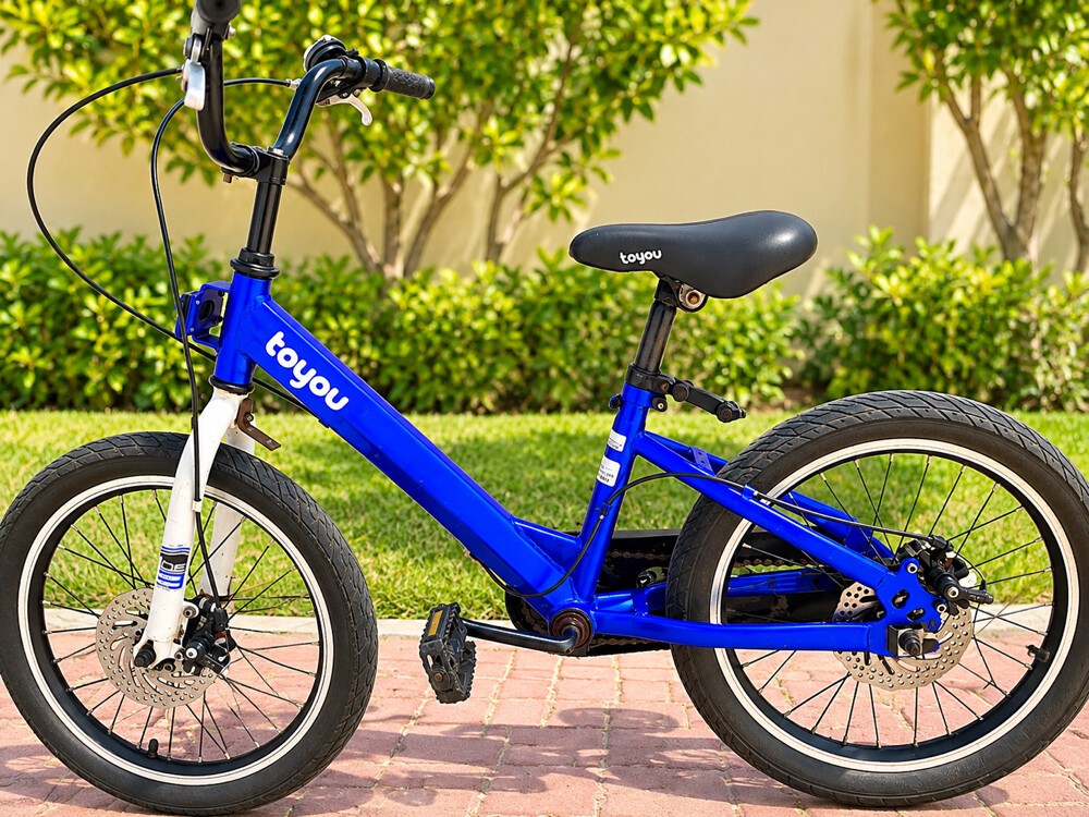 Toyou kids bicycle for sale - 1