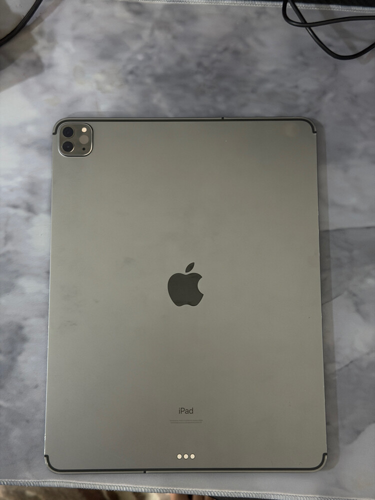 iPad Pro (12.9-inch) (4t - 1