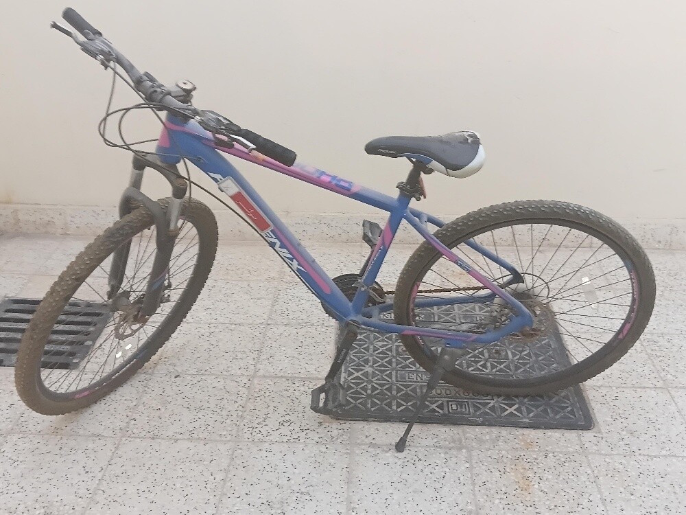 bike - 1