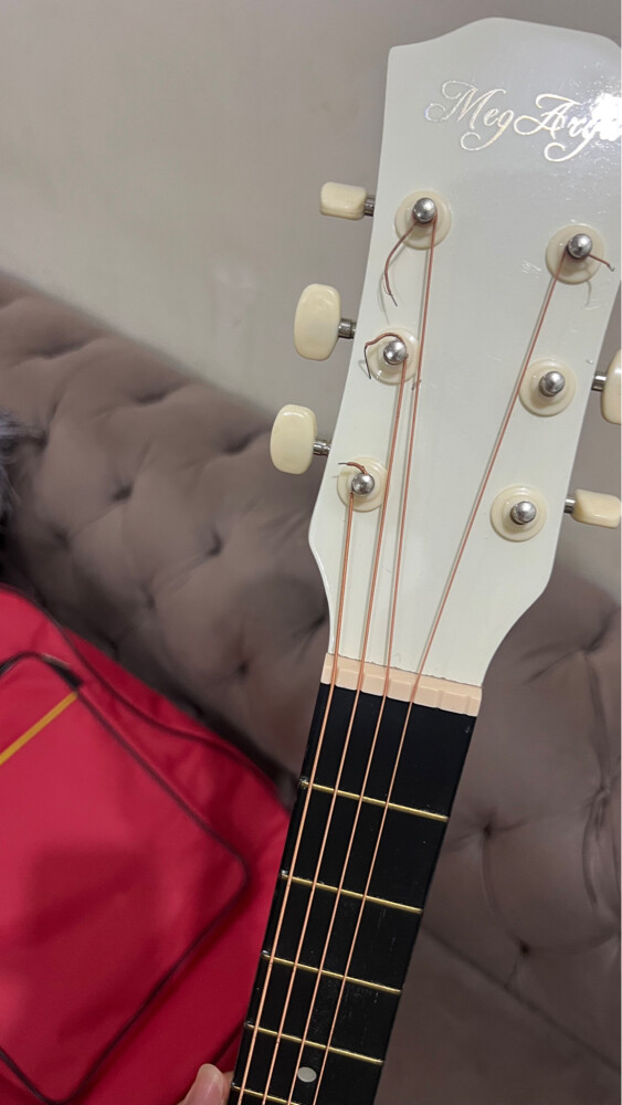 Guitar meg arya urgent sale - 2