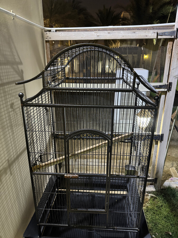 ‏big cage  - 2