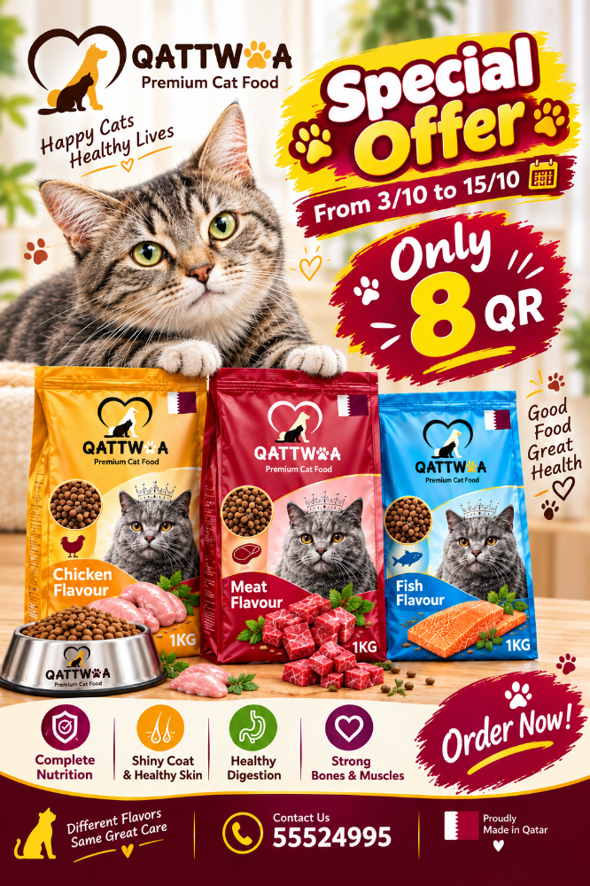 cat food - 1