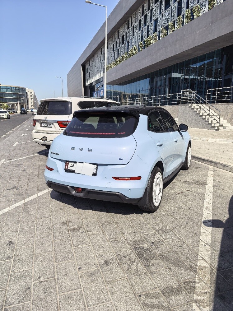 للبيع غريت وول اورا 03 كهربائية - 3