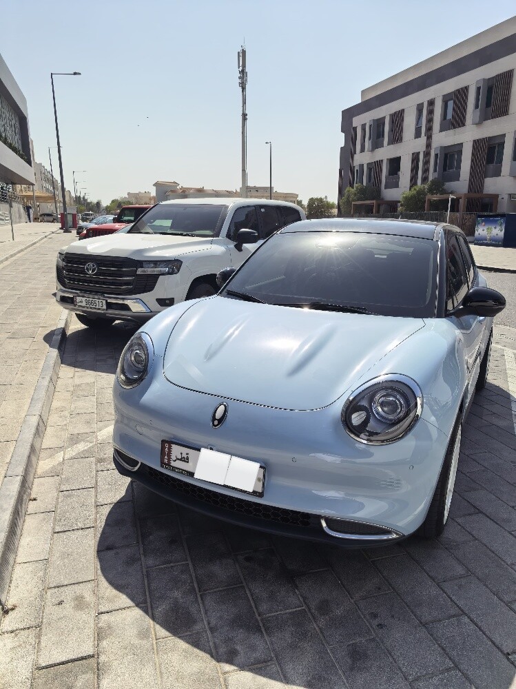 للبيع غريت وول اورا 03 كهربائية - 5
