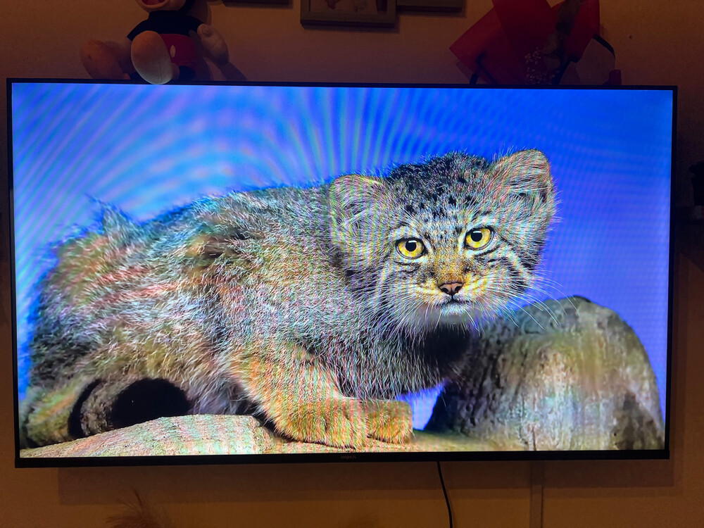 impex 50 inch tv - 2