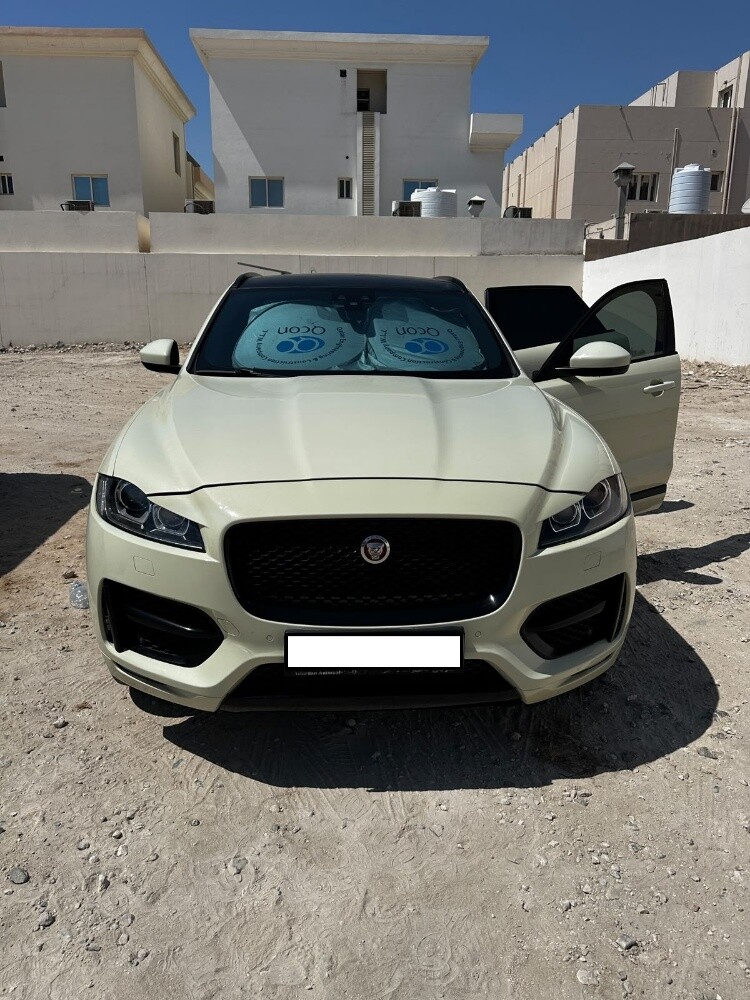 lady used neat n clean jaguar - 1