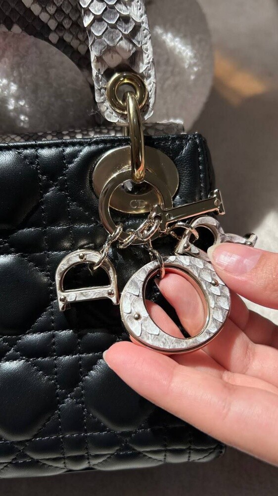 Christian Dior Mini Lady Dior Bag B - 7