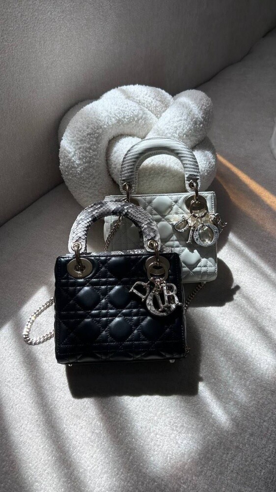 Christian Dior Mini Lady Dior Bag B - 10