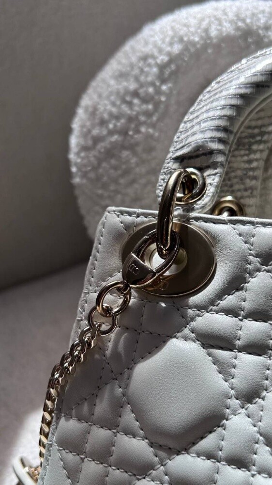 Christian Dior Mini Lady Dior Bag W - 5