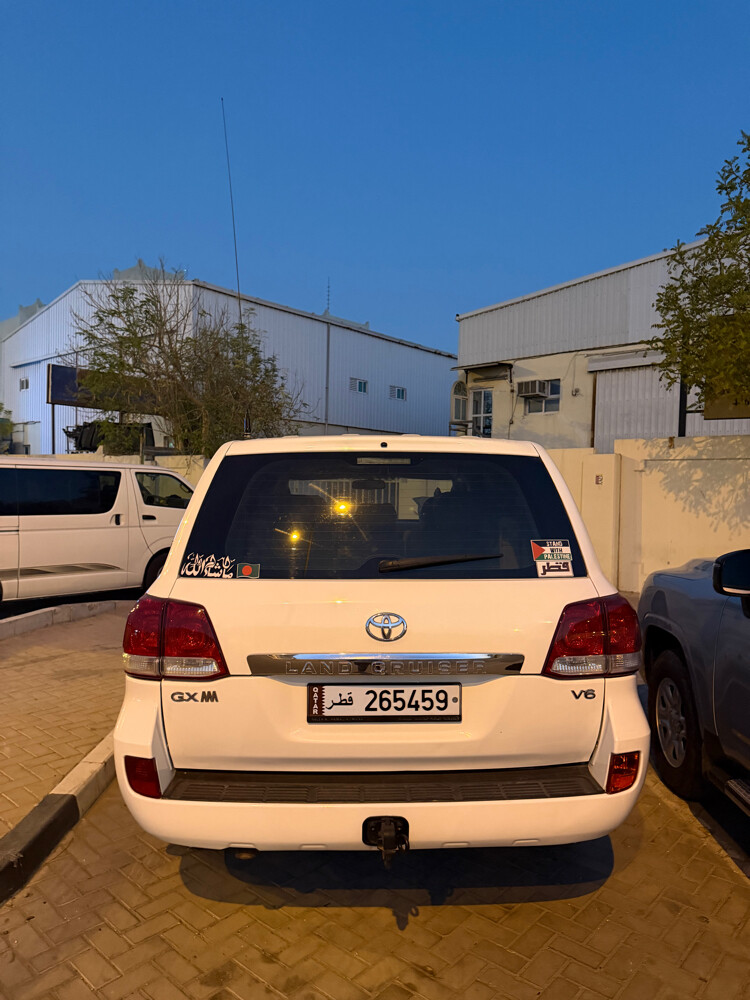 Mohin - 3