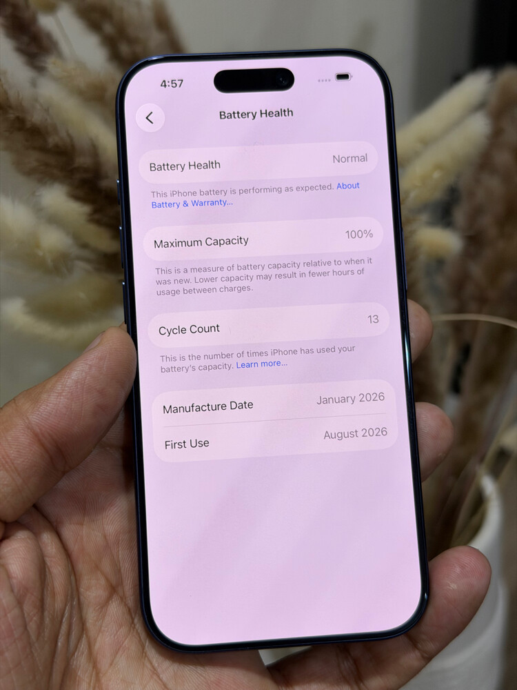 iPhone 17 Pro 512GB 100% - 2