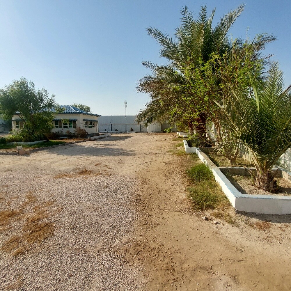 عزبة كبيرة ابو نخلة - 3