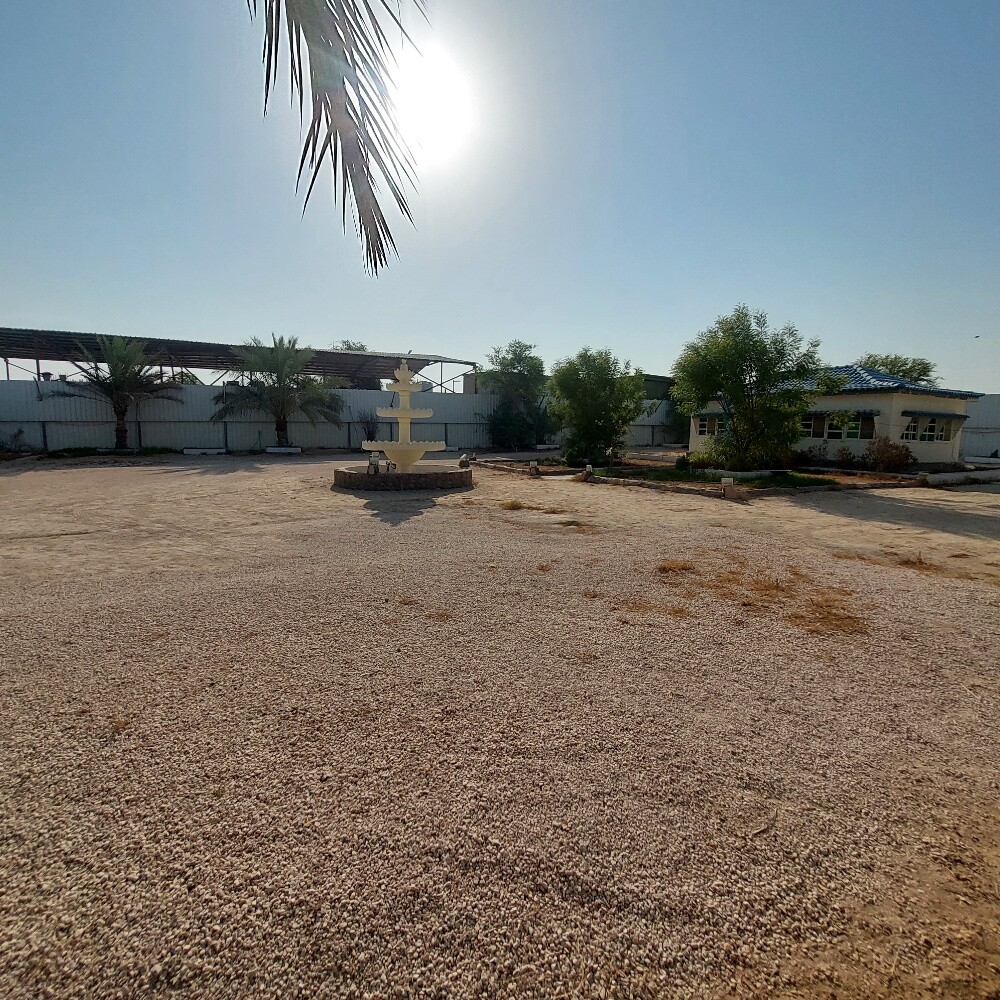 عزبة كبيرة ابو نخلة - 2