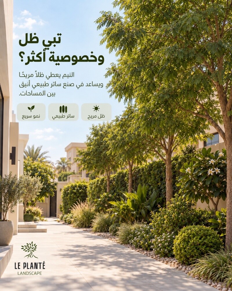 زراعه جميع الورود - 3