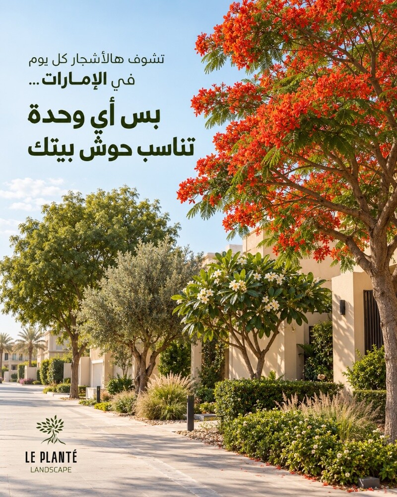 ورود توريد وتركيب - 5