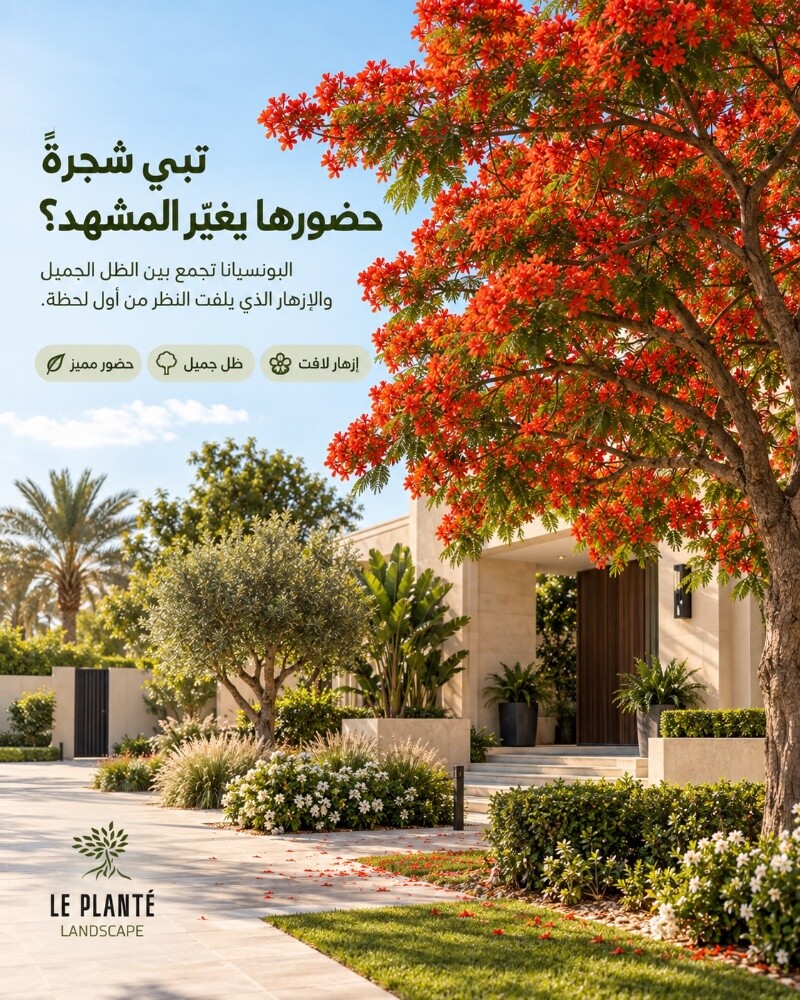 ورود توريد وتركيب - 3