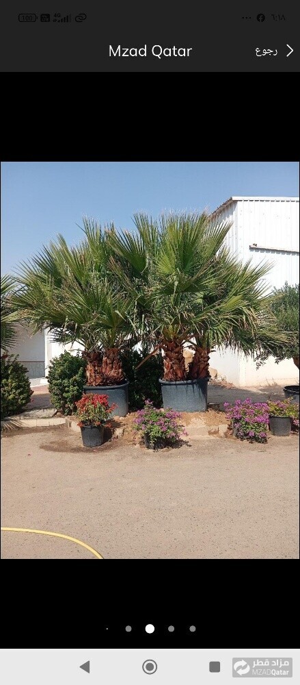 نخيل خدمات - 5