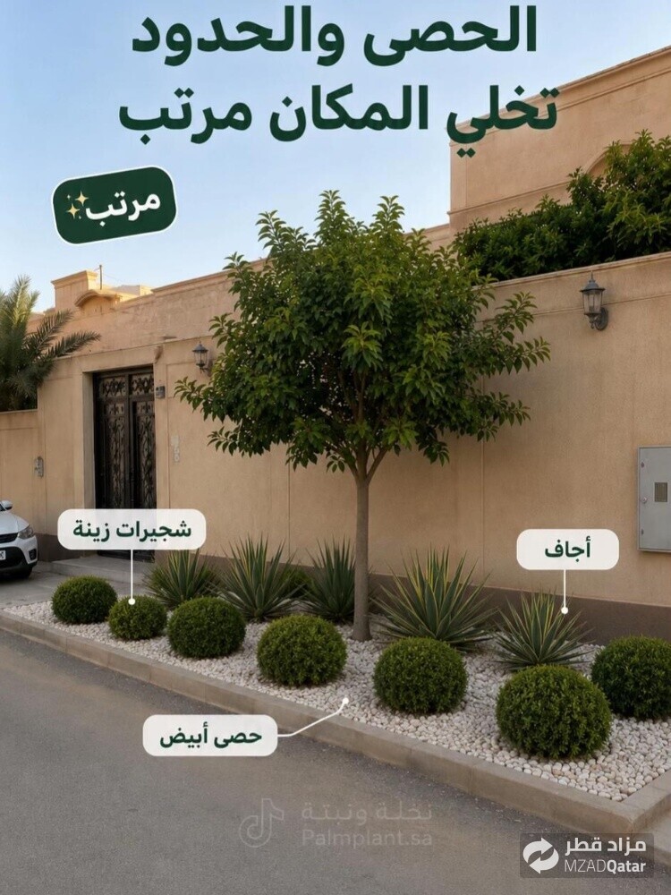 نخيل خدمات - 9