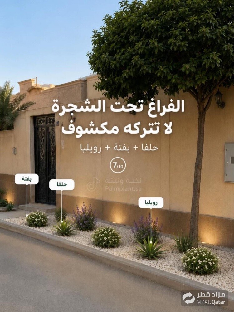 نخيل خدمات - 8