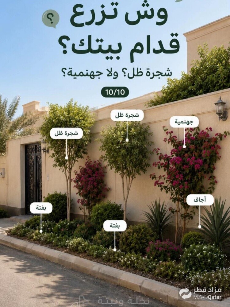 نخيل خدمات - 7