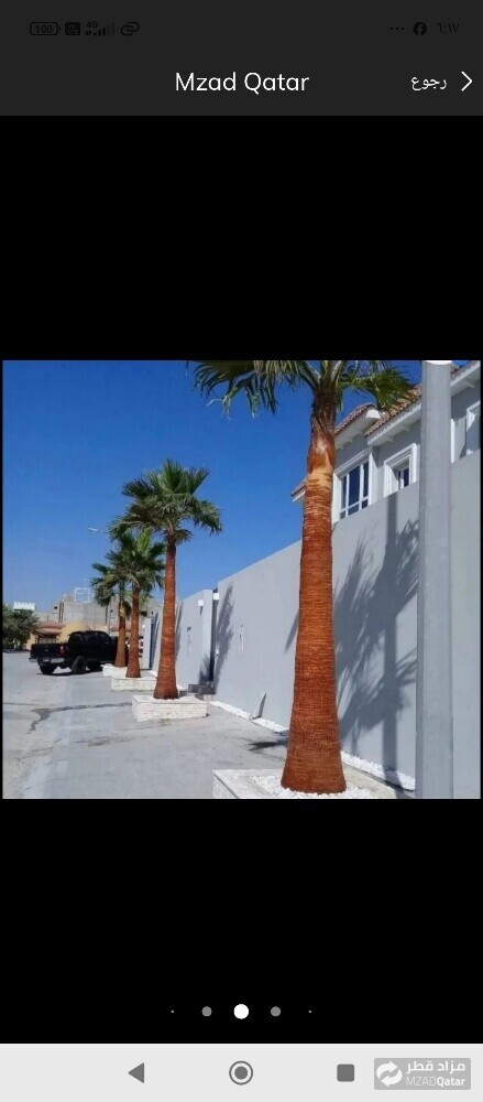 نخيل خدمات - 2