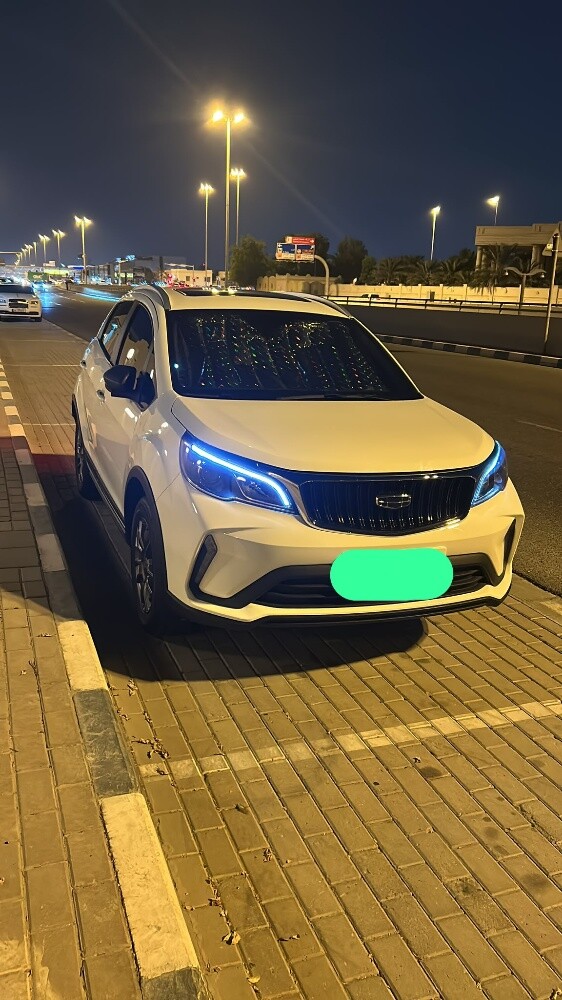جيلي للبيع - 3