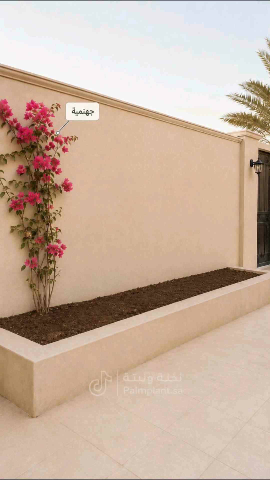 مهندس زراعي - 1