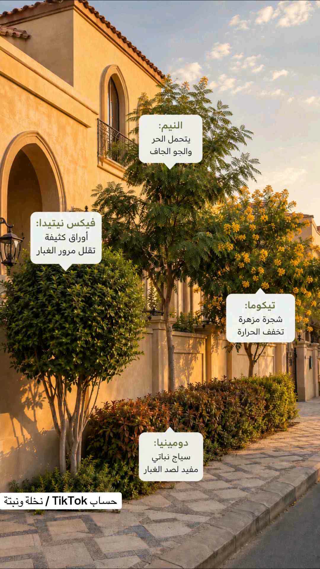 مهندس زراعي - 1