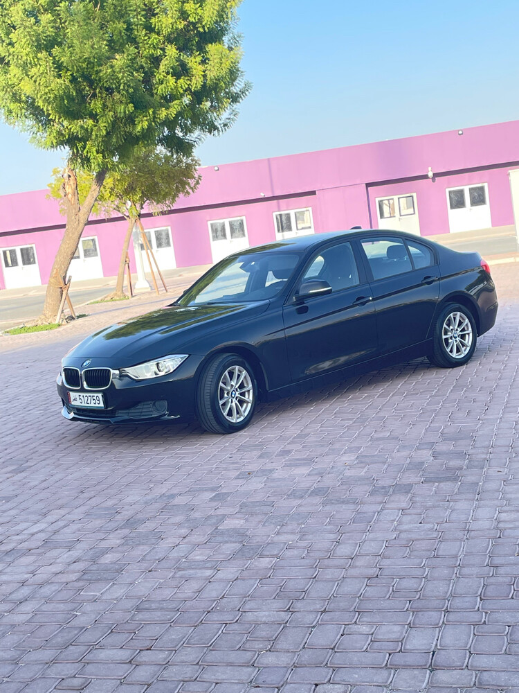 BMW 316 – 2014 - 15